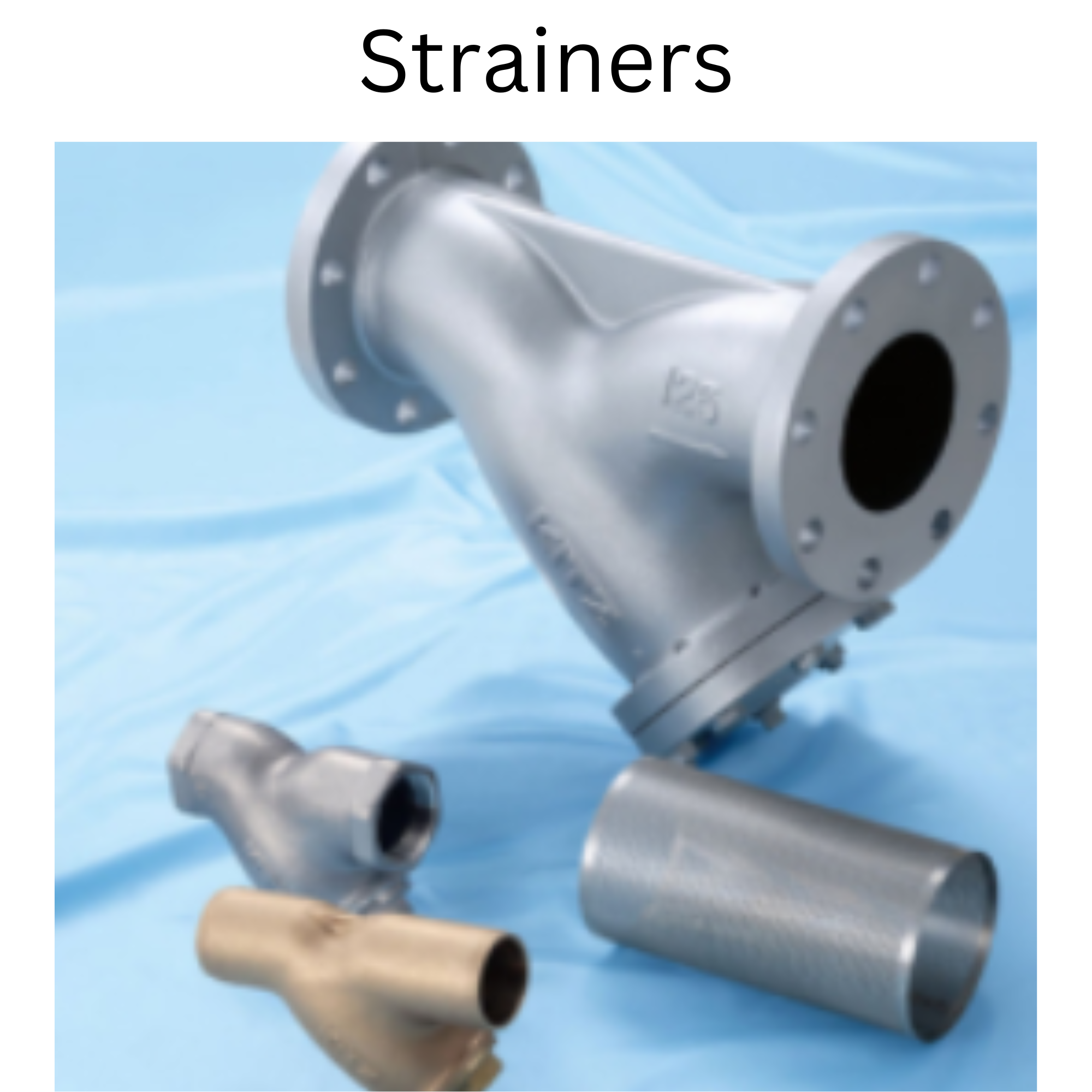 Strainers Design, Mfg. & Supply by T.E.A.M ENGINEER'S GROUP